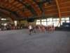 dscn4372_small.jpg