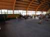 dscn4486_small.jpg