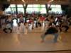 stagesteveintermedio200505072_small.jpg